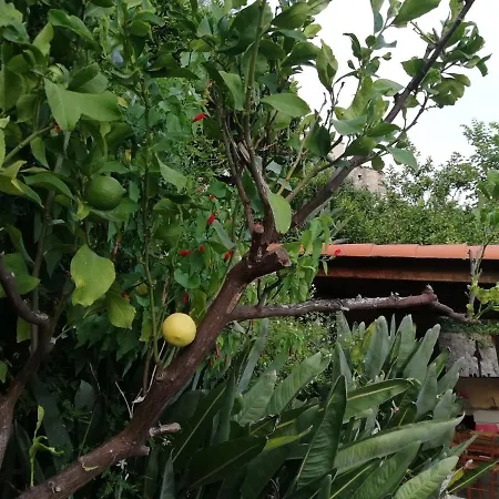 Lejlighed Maison Trucchi *