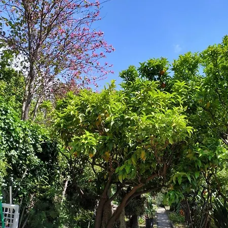 Διαμέρισμα Maison Trucchi *