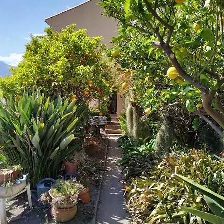 Maison Trucchi Apartment