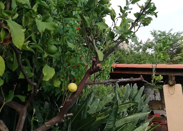 Apartmán Maison Trucchi *